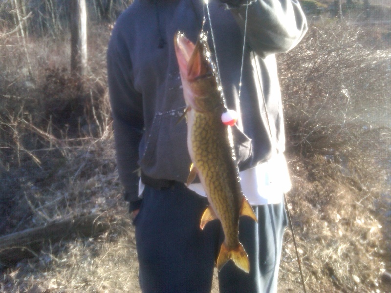 Closter fishing photo 4