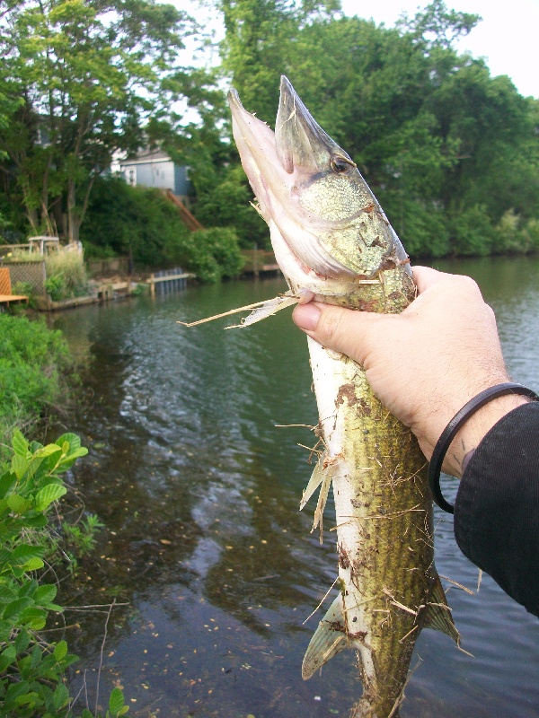 Holmdel Township fishing photo 5