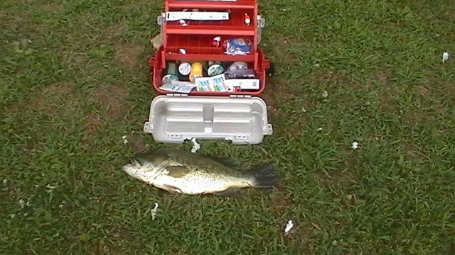 Largmouth bass 3.5 lb. near Neptune Township