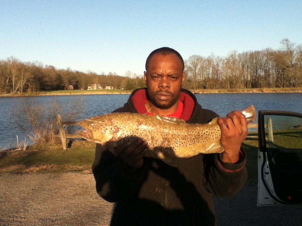 Brown trout near Stockton