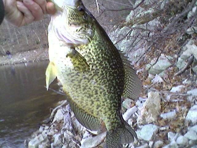 Glen Ridge fishing photo 1