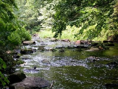Lamington River near Somerville