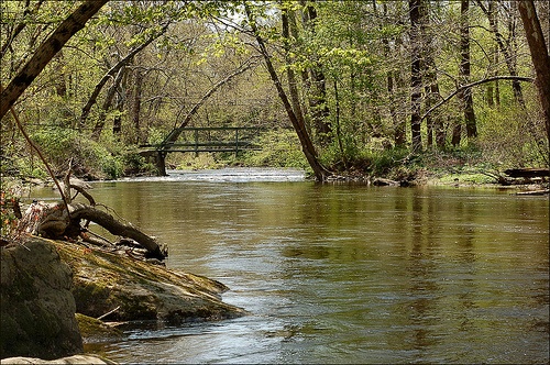 Neshanic River near Rocky Hill