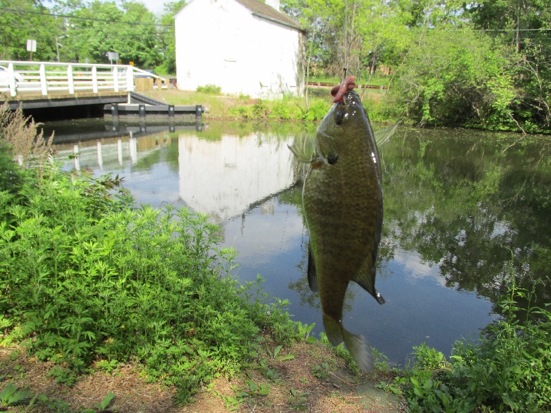 Franklin Township fishing photo 4