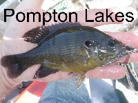 Pompton Lake