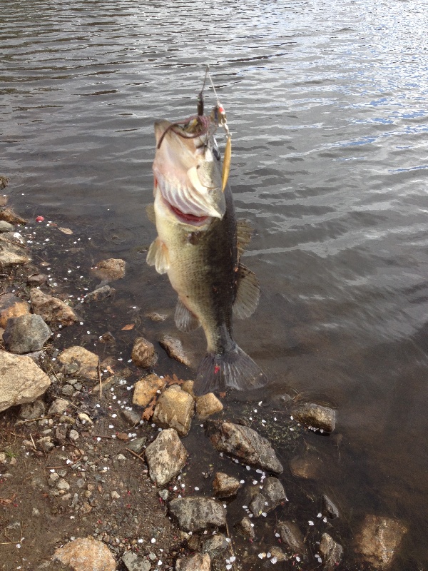 6 pounds largemouth bass near River Vale