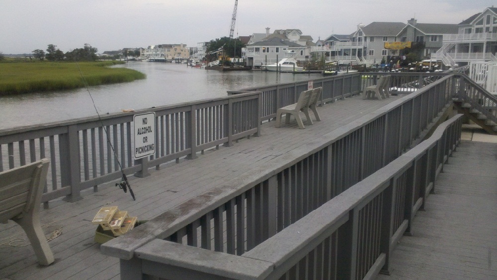 West Cape May fishing photo 4