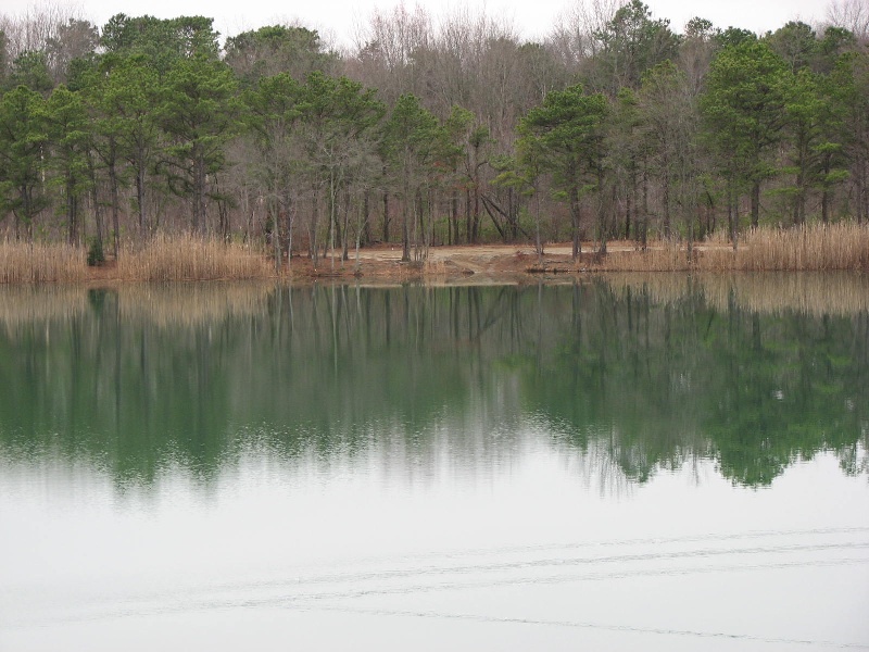 Oak Pond near Folsom