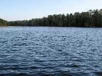 Lake Absegami