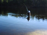 Hammonton Lake Fishing Report