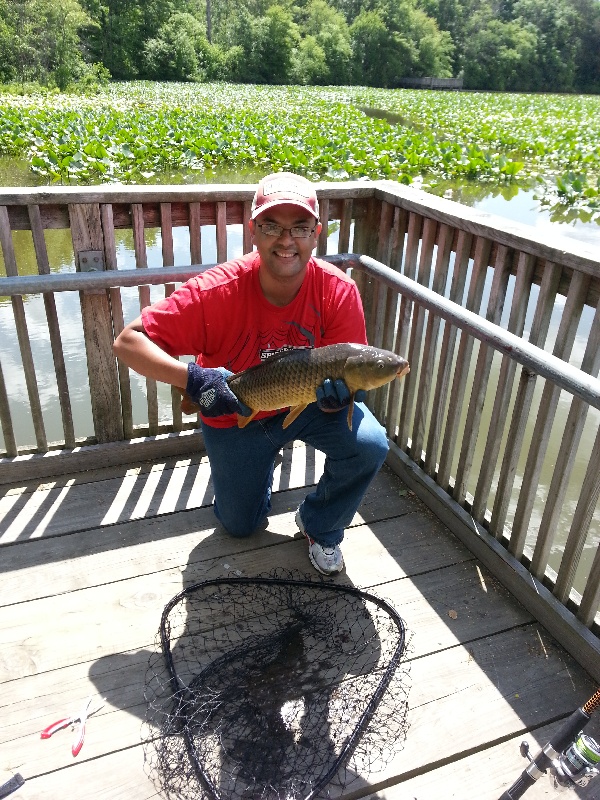 Smithville Carp near Plumsted Township