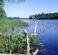 Whitesbog Pond
