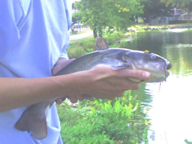 07' fish near Glen Ridge