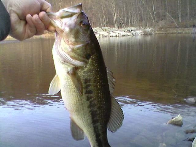 East Rutherford fishing photo 0