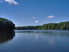 Farrington Lake near Franklin Township