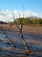 Delaware River