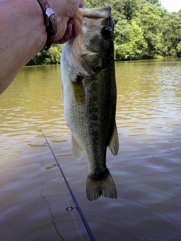 Great weather today and fishing