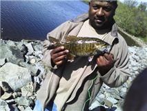 Smallmouth Bass