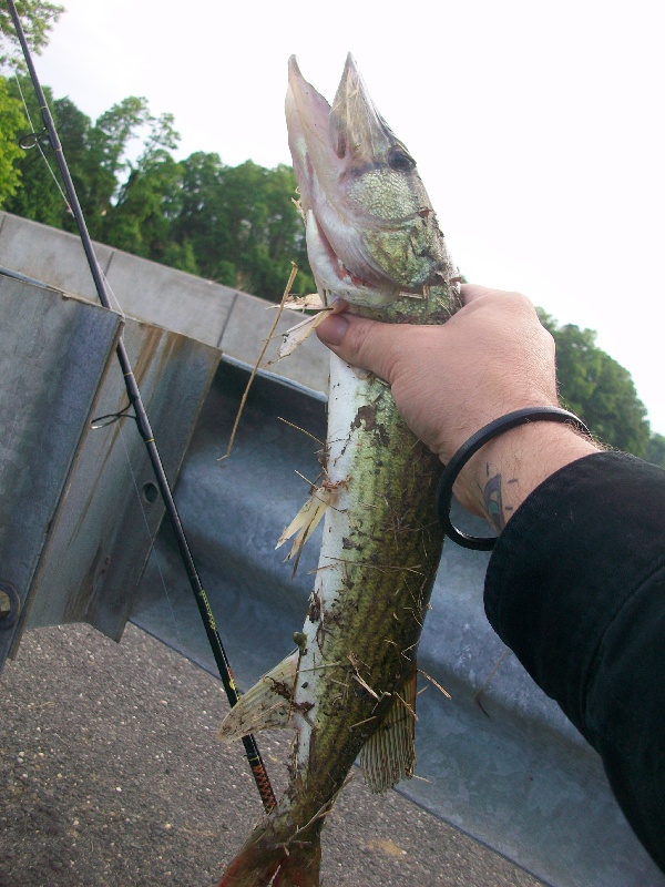 Aberdeen Township fishing photo 0