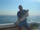 2010 Trips