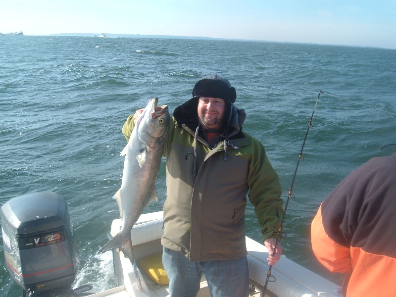 2010 Trips