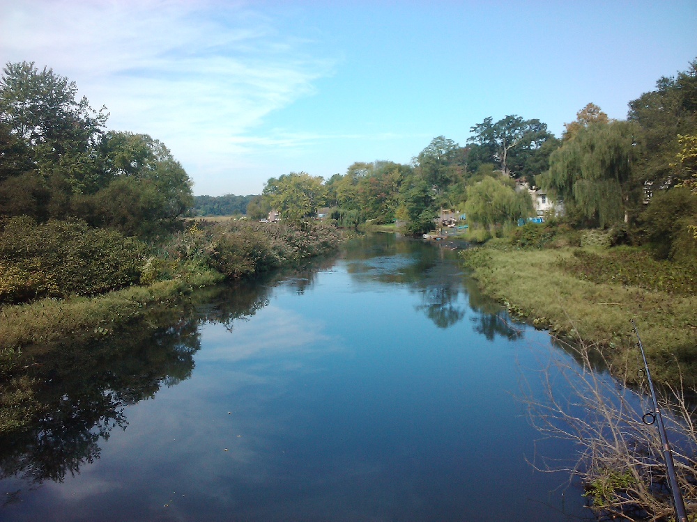 North End of Big Timber Creek near Pitman