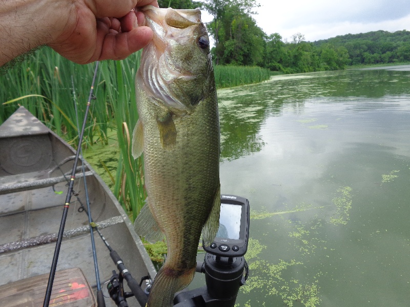 Delaware lake