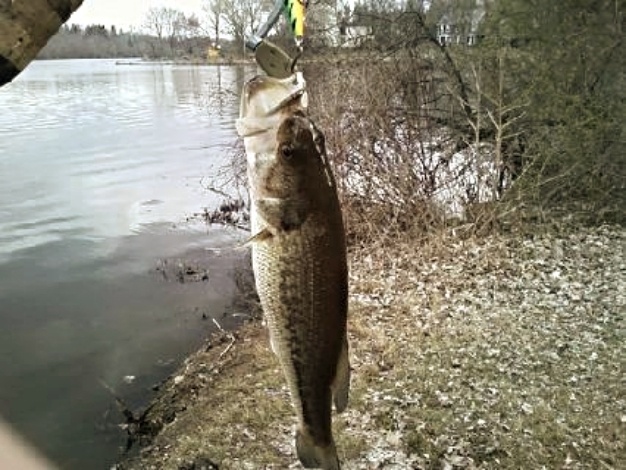 1st bass of season