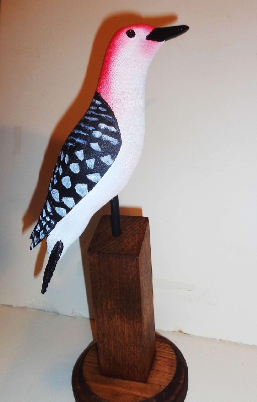 Red Bellied Woodpecker