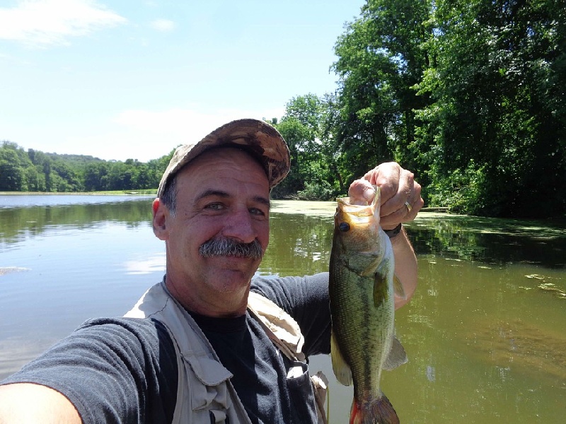 crankbait bassin