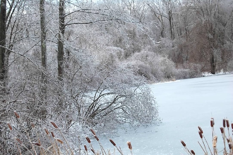 ice fishing 2019