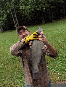 dougiedugfish