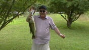 Largmouth bass 5.5 lb.