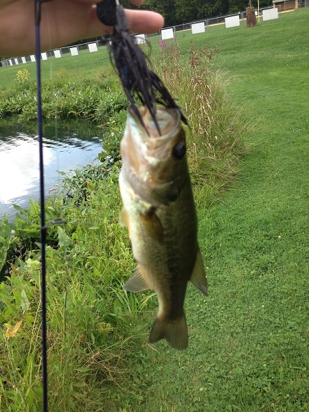 Lafayette Township Park Pond