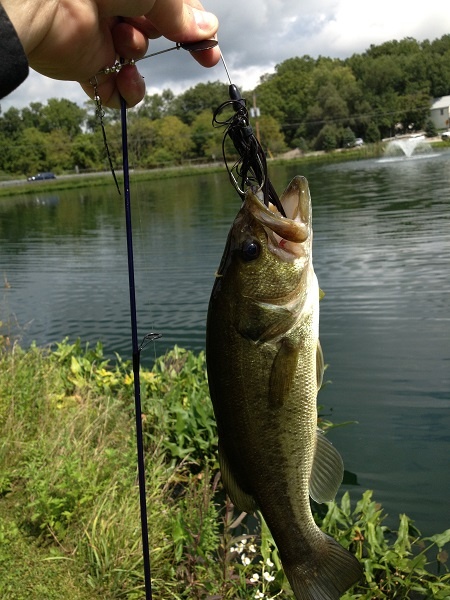 Lafayette Township Park Pond