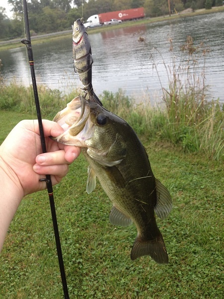 Lafayette Township Park Pond