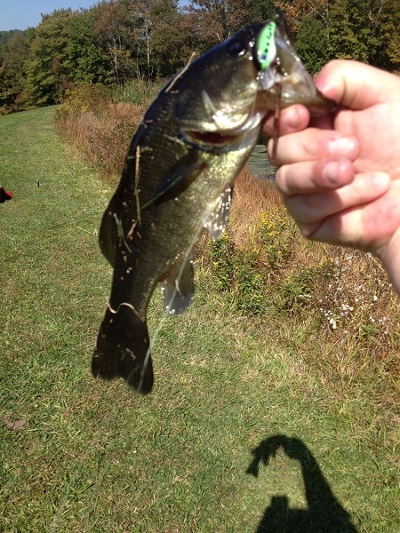 Vorhees Largemouth