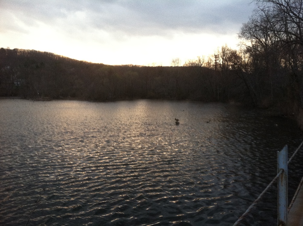 Oldham Pond near Paramus