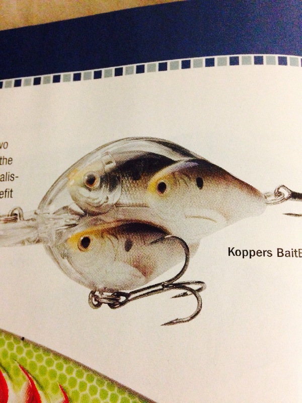 2014 kippers crank