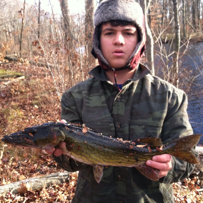 big pickerel today