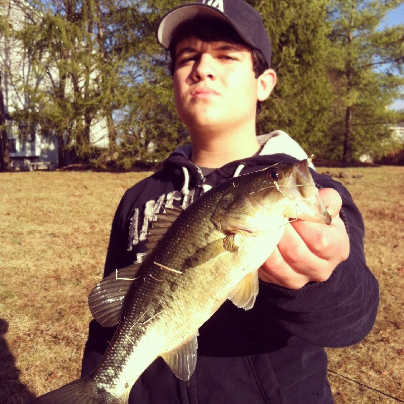 Bass from bout a week ago