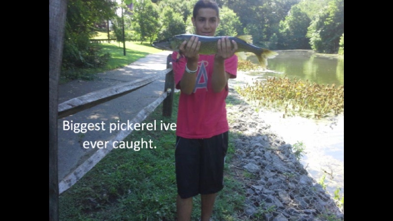 Big pickerel