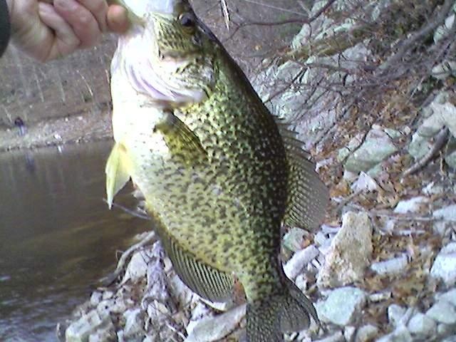 Fairview fishing photo 3