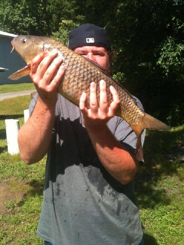 7 pound carp 