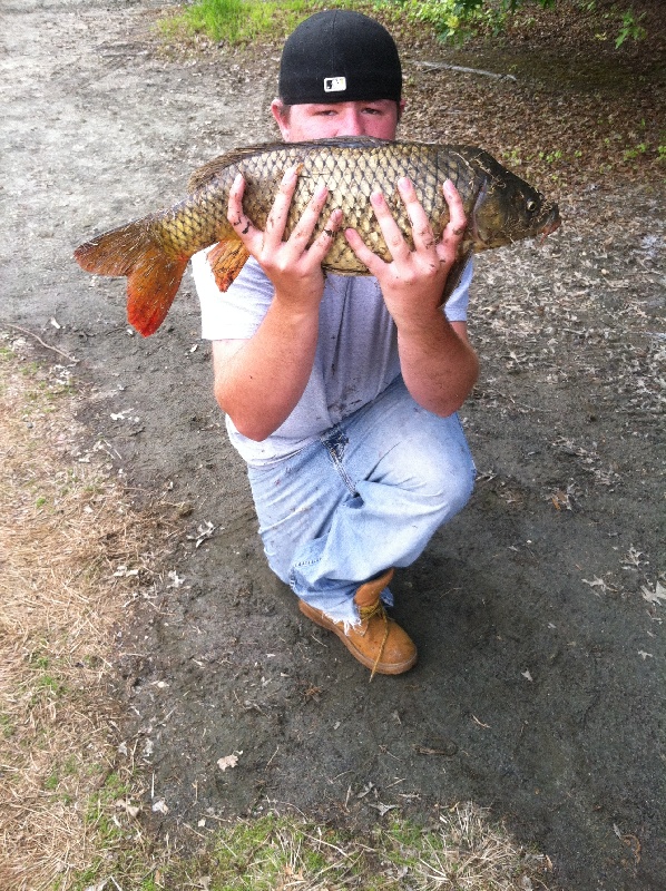 7 pound carp 