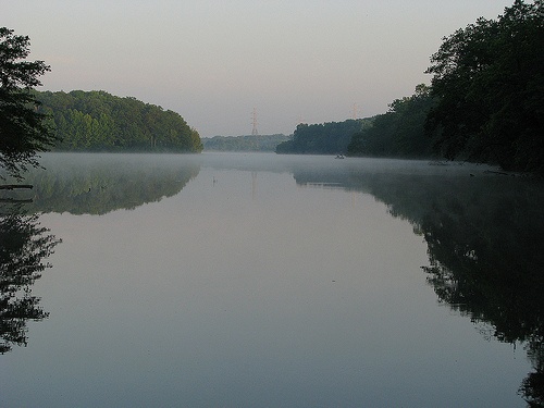 Lake Mercer