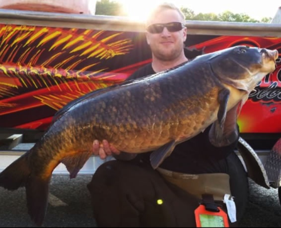 NJ Record Carp