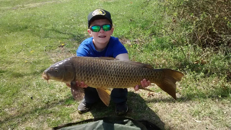 Carp #1