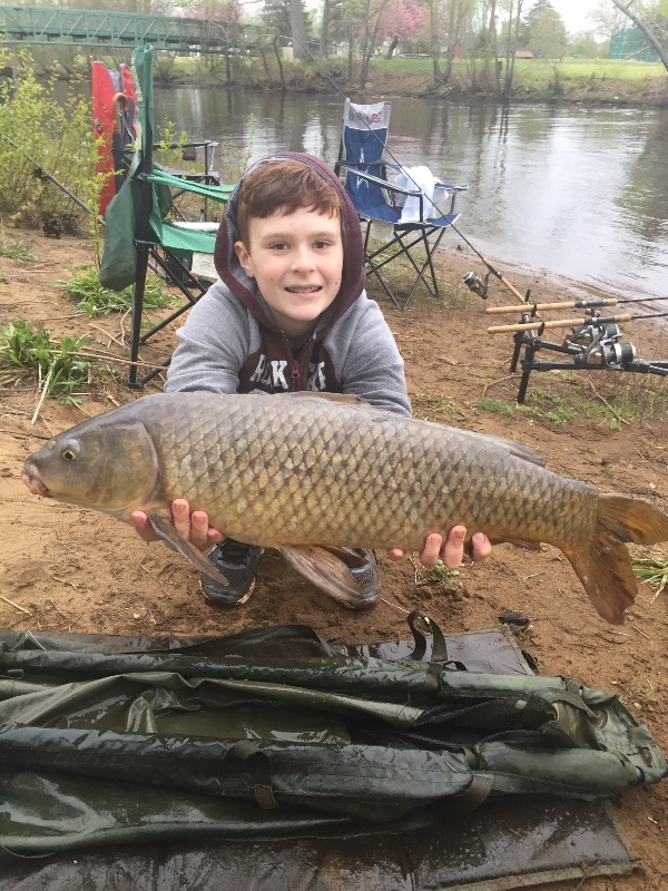 Carp #3