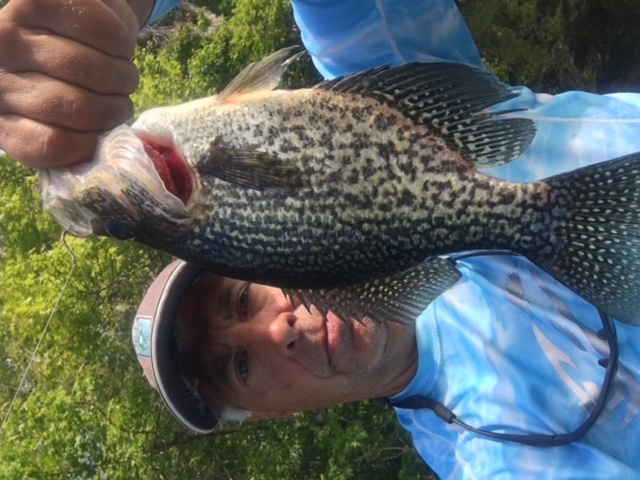 CRAPPIE